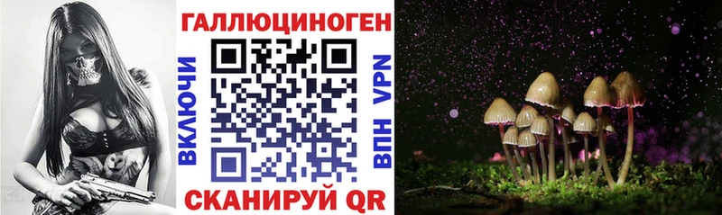 Псилоцибиновые грибы Cubensis  Североморск 